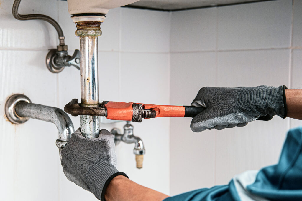Leak Detection in Zeb