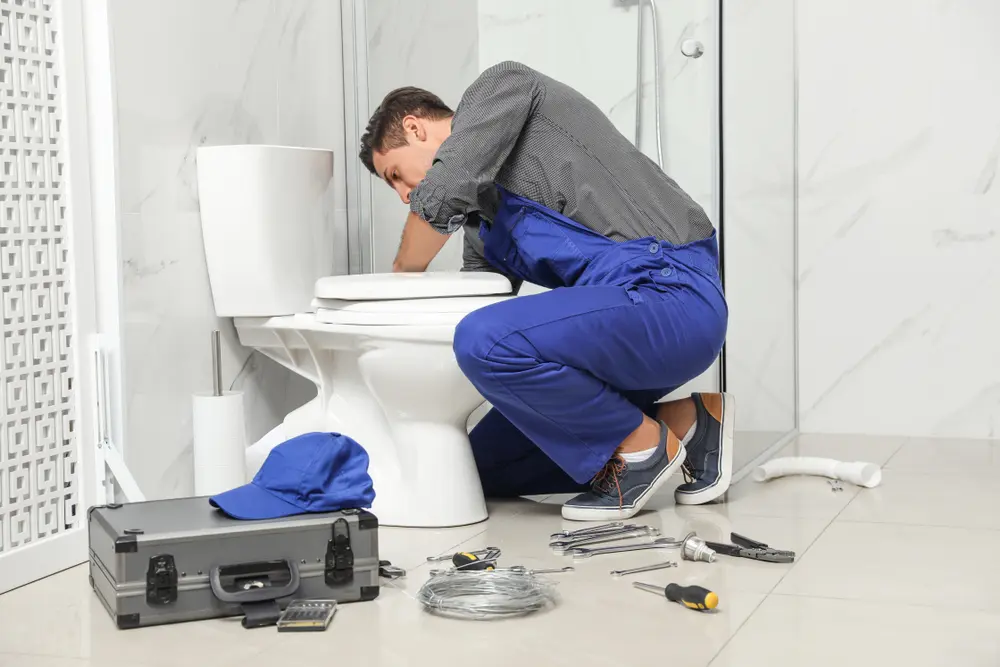 Toilet Repair in Zeb